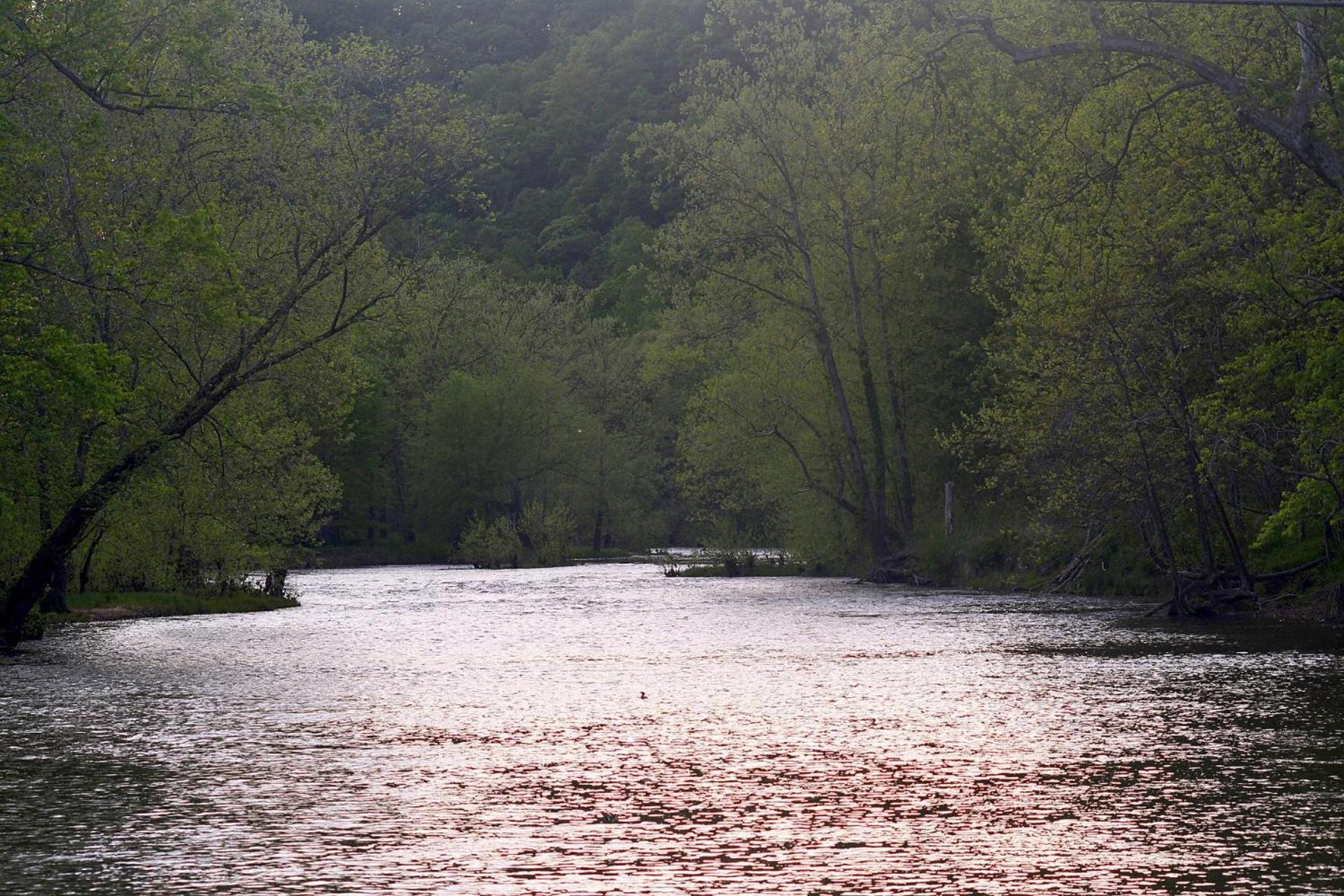 River Walk Cottage - Hot Tub - Pet Friendly - Swing - Screen Porch - River Access - Fire Pit - Wifi - Grill - Deck - King Bed Great Cacapon Exterior foto