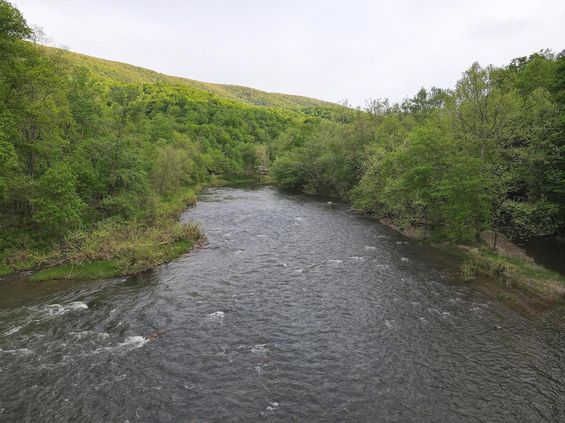 River Walk Cottage - Hot Tub - Pet Friendly - Swing - Screen Porch - River Access - Fire Pit - Wifi - Grill - Deck - King Bed Great Cacapon Exterior foto