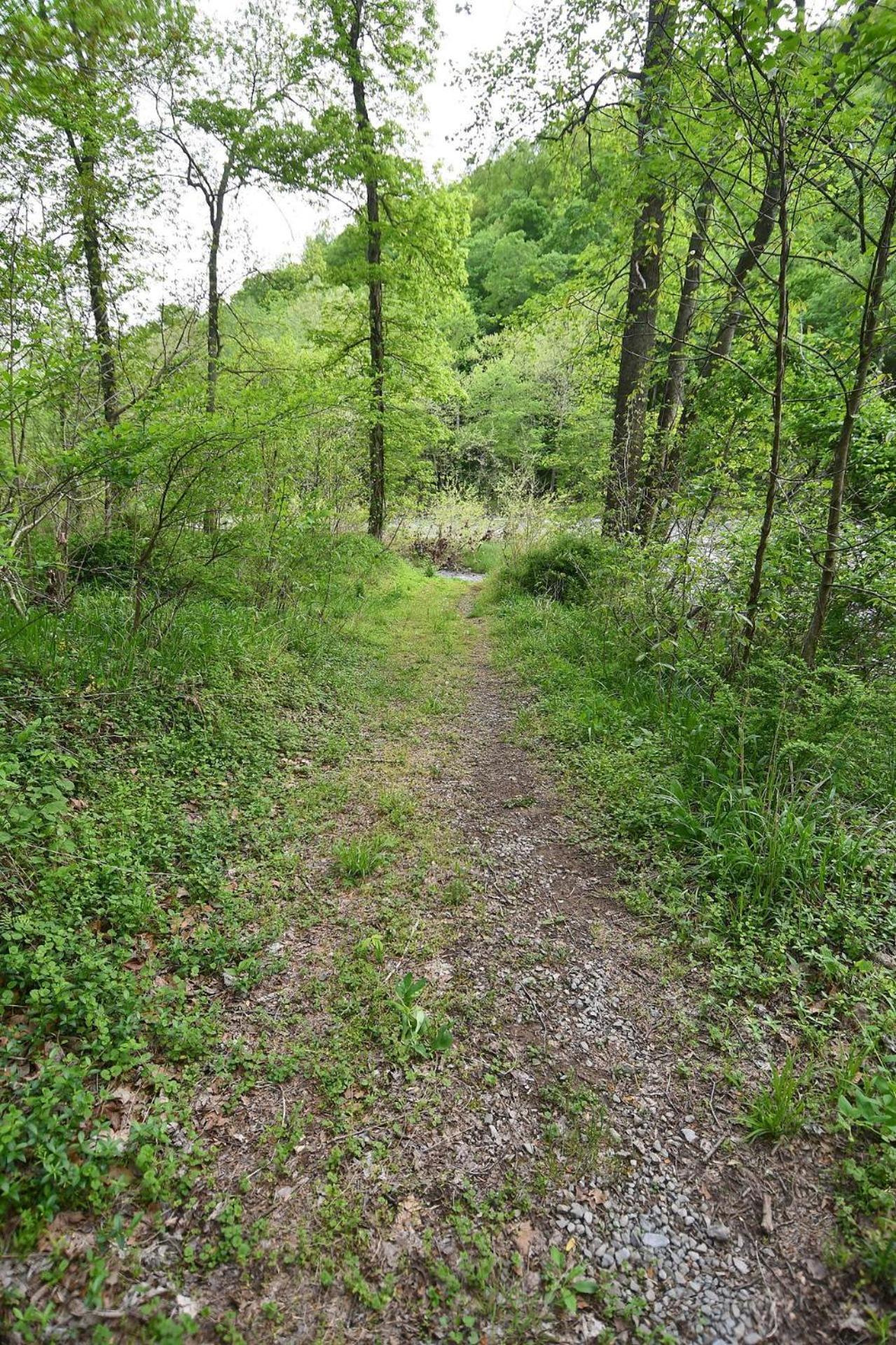 River Walk Cottage - Hot Tub - Pet Friendly - Swing - Screen Porch - River Access - Fire Pit - Wifi - Grill - Deck - King Bed Great Cacapon Exterior foto
