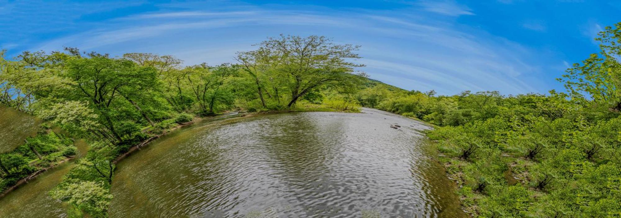 River Walk Cottage - Hot Tub - Pet Friendly - Swing - Screen Porch - River Access - Fire Pit - Wifi - Grill - Deck - King Bed Great Cacapon Exterior foto